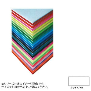 ARTE(Ae) j[J[{[h fUC{[h 5mm B1(728×1030mm) zCg BP-5CB-B1-WH