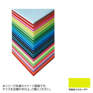 ARTE(Ae) j[J[{[h fUC{[h 5mm B1(728×1030mm) uCG[ BP-5CB-B1-FY