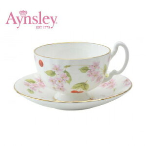 Aynsley(GCYC)@`F[ubT@eB[Jbv\[T[(C/S)@I[o@CBPT05006C