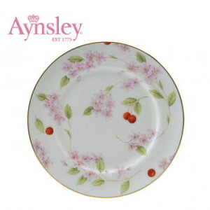 Aynsley(GCYC)@`F[ubT@eB[v[g@CBPT00003C