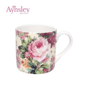 Aynsley(GCYC)@Xeb`R[@I[h[Y@}O(}OJbv)@STCL00009C