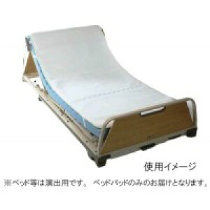 TN1100T-91�@������i�[�X(R)�x�b�h�p�b�h(�I�[�o�[���C�^�C�v)�@��93×��190×��2cm