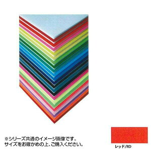 ARTE(Ae) j[J[{[h fUC{[h 5mm A2(420×594mm) bh BP-5CB-A2-RD