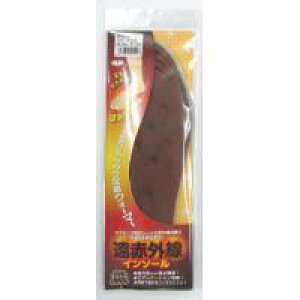 516 ANeBJ ԊOC\[ Ɖhp jpt[(24.0`27.0cm) ×2Zbg