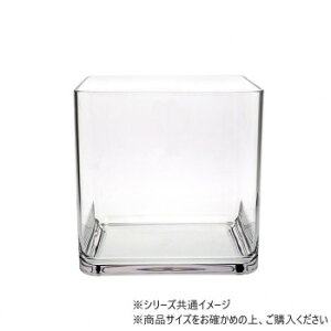 PVXNGA[30xH30E2300083