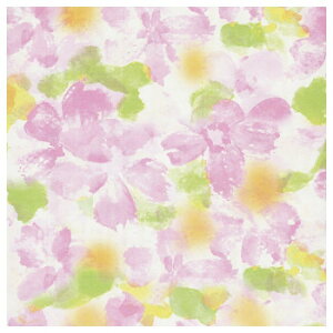 包装紙 ソフィア 四六全判 100枚 XZK00083