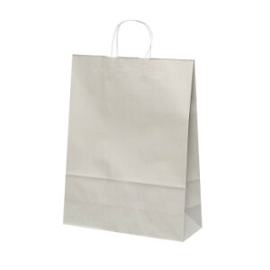 ܁@HV100@O[ 50 XZK01102