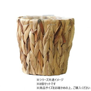 PPA~A~|bg3 8Zbg@7600093