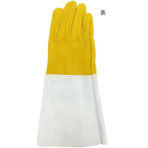 쏤 G[X NXg nڗp 5{w AG502