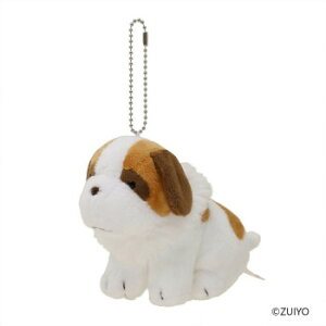 ZLO`@[[t@ʂ݁@}XRbgKC@655281