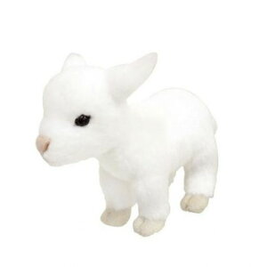 g@肭̂Ȃ܂@ʂ݁@M@180451