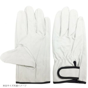 쏤 G[X ؃NXg }WbNe[v Ae LLTCY AG520