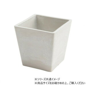 SKXNGA|bg 12xH12 ~L[ 3d00032ML