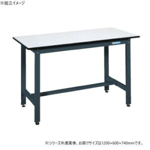 �T�J�G �y�ʍ�Ƒ�SEL�^�C�v �R�ۉ��H �_�[�N�O���[ 1200×600×740mm SEL-1260P