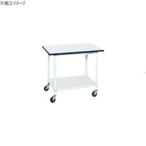 TJG lpƑړ |GXeV 750×500×650mm PSR-075PEW