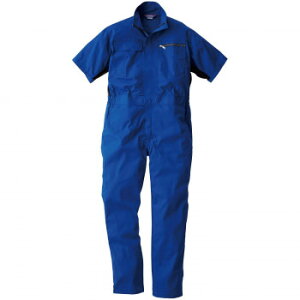 Ka 39017 Ȃ STCY u[(8) SOWA