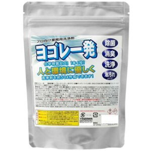 YAZAWA(���U��) ���S���ꔭ250g YGR250G