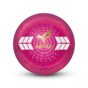 HH PGGA{[ sN PH3841-64