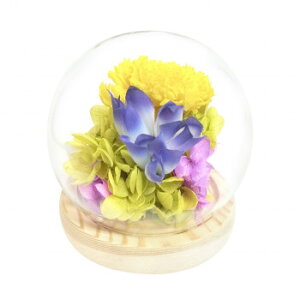 p()@lGXtBA@vU[uht[@H@hE@C38203