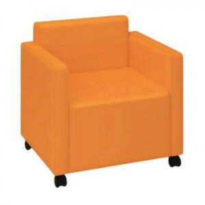 cxbh쏊 DS`FA[(l|`FA[) LX^[t IW TB-797-01