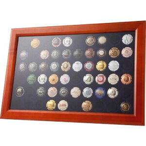 �V�����p���~���Y���i�����j�@�R���N�V�����{�[�h�@6250