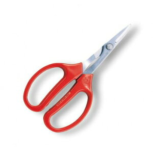 AXR[|[V@Ntg@nT~@n@350-T