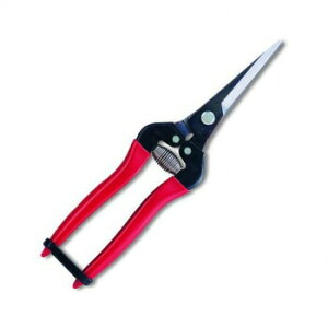 �A���X�R�[�|���[�V�����@�E�����@�G�N�X�g�������O�@300LL-BP