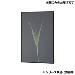 Ai z Vv ALUMIUM RIM }bgubN  16735