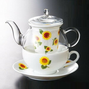 �e�B�[�t�H�[���� �a���� 8�� �Ђ܂�� TFO-003