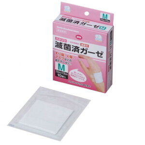 �n�N�]�E���f�B�J�� �ŋۃK�[�[ �n�N�]�E�ŋۃT�[�W����N M�T�C�Y 1����×10�� 1163922