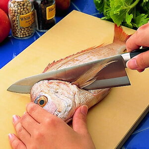 S܂Ȕ@ATqNbLJbg@Ɩp@500×330×15mm@102