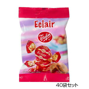 gt@ GNA^tB 100g×40܃Zbg