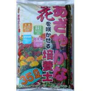 7-19@|@₩ȉԂ炩|{y@35L@2