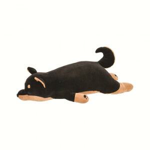 ��Ԃ͂��Ɓ@�v���~�A���˂ނ˂ރA�j�}���Y�@�����܂���L�@�R�e�c�@48768-73