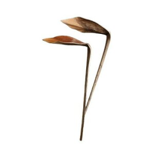 Casto �J�X�g �h���C�t�����[ Shoe Hom 58280