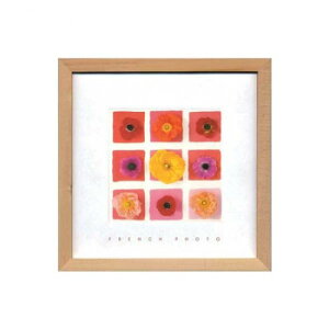 French Photography �t�H�g�A�[�g Nine Flower on nine squares ZFP-51915