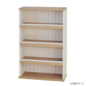 ���{���g���Ƌ� �f�B�X�v���C�{�I �G�{�I CO-AR-9060 ��