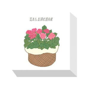 Home Plants KALANCHOE �A�[�g�p�l�� ZPA-53531