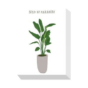 Home Plants BIRD OF PARADIS �A�[�g�p�l�� ZPA-53554