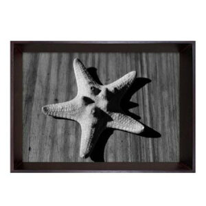 Photography art Star fish �A�[�g�p�l�� IBC-53404
