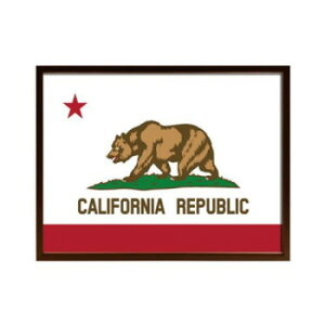 �A�[�g�t���[�� California Flag �A�[�g�p�l�� ISF-52295