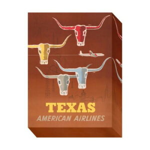 �~�j�p�l�� American Airline �A�[�g�p�l�� ZAP-53671