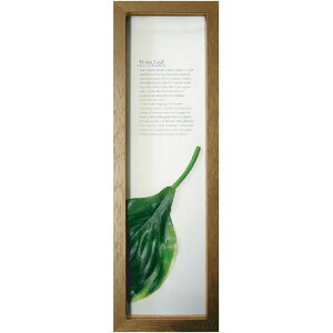 K-Art.Japan �A�[�g�t���[�� Hadiah Hutan �z�X�^���[�t1 �u���E�� PZ-3005
