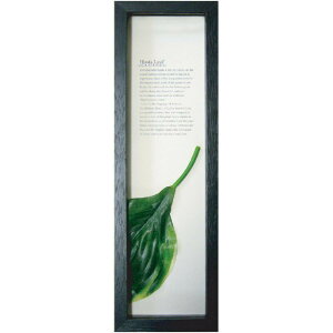 K-Art.Japan �A�[�g�t���[�� Hadiah Hutan �z�X�^���[�t1 �u���b�N PZ-3006