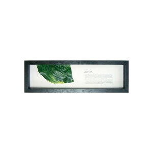K-Art.Japan �A�[�g�t���[�� Hadiah Hutan �z�X�^���[�t2 �u���b�N PZ-3008