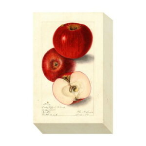 �~�j�p�l�� Apple �A�[�g�p�l�� ZAP-53704