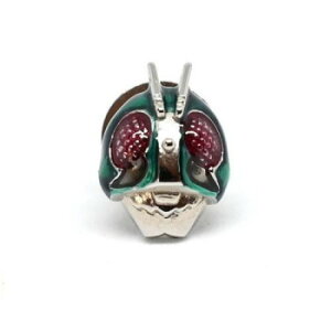 ʃC_[(KAMEN RIDER)×SWANK(XN) }XNsY KR-2021-PIN01