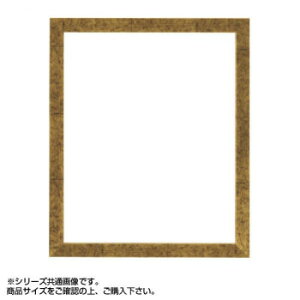 大額 5698 デッサン額 四ツ切 金柄紋