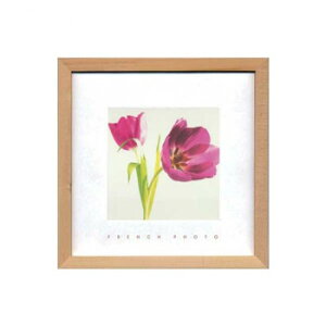 French Photography tHgA[g Purple Tulips ZFP-51894