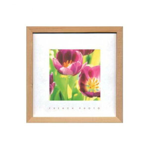 French Photography tHgA[g Tulips ZFP-51895